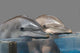 Dolphins Wall Decal Design 2