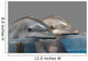 Dolphins Wall Decal Design 2