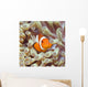 Tropical Fish Clownfish Wall Decal