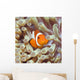 Tropical Fish Clownfish Wall Decal