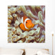 Tropical Fish Clownfish Wall Decal