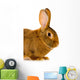 Rabbit Wall Decal