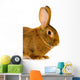 Rabbit Wall Decal