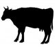 Cow Wall Decal