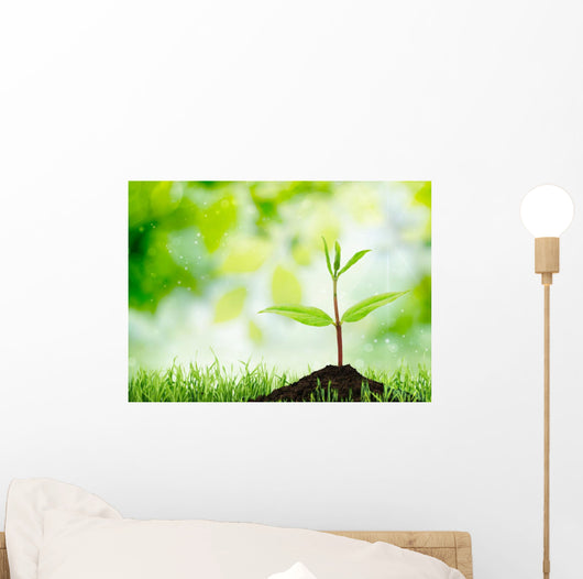 Soil Sapling Tree White Wall Decal