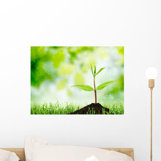 Soil Sapling Tree White Wall Decal