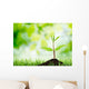 Soil Sapling Tree White Wall Decal