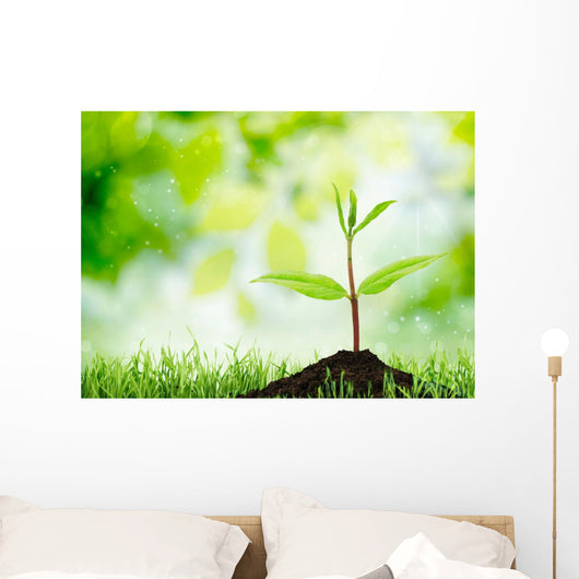 Soil Sapling Tree White Wall Decal