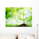 Soil Sapling Tree White Wall Decal
