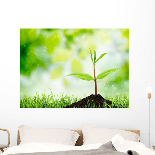 Soil Sapling Tree White Wall Decal