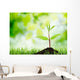 Soil Sapling Tree White Wall Decal