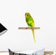 Budgerigar Parrot Wall Decal Design 4