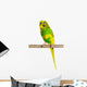 Budgerigar Parrot Wall Decal Design 4