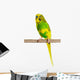 Budgerigar Parrot Wall Decal Design 4