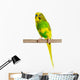 Budgerigar Parrot Wall Decal Design 4