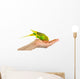 Budgerigar Parrot Wall Decal Design 3