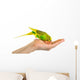 Budgerigar Parrot Wall Decal Design 3