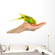 Budgerigar Parrot Wall Decal Design 3