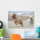 Nico Plays Wall Decal