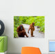 Mom with Baby Orangutan Wall Decal