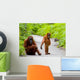 Mom with Baby Orangutan Wall Decal