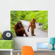 Mom with Baby Orangutan Wall Decal