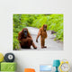 Mom with Baby Orangutan Wall Decal
