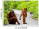 Mom with Baby Orangutan Wall Decal