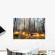 Forest Fire Progress Wall Decal