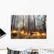 Forest Fire Progress Wall Decal