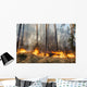 Forest Fire Progress Wall Decal