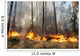 Forest Fire Progress Wall Decal