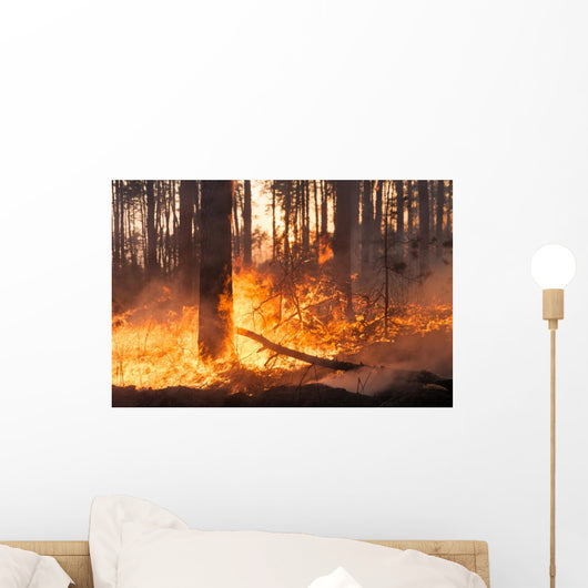 Big Forest Fire Pine Wall Decal