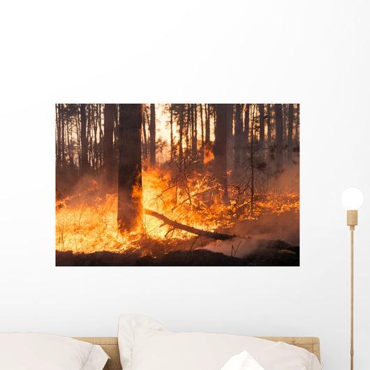 Big Forest Fire Pine Wall Decal