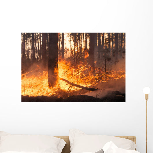 Big Forest Fire Pine Wall Decal