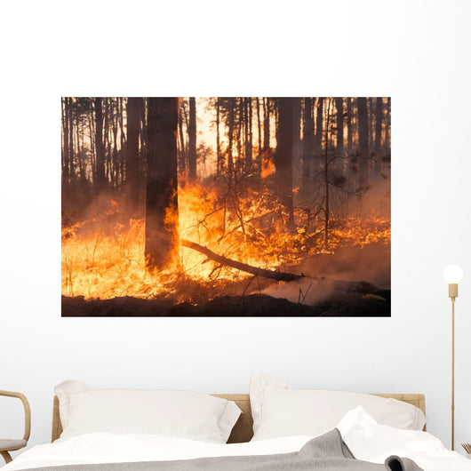Big Forest Fire Pine Wall Decal