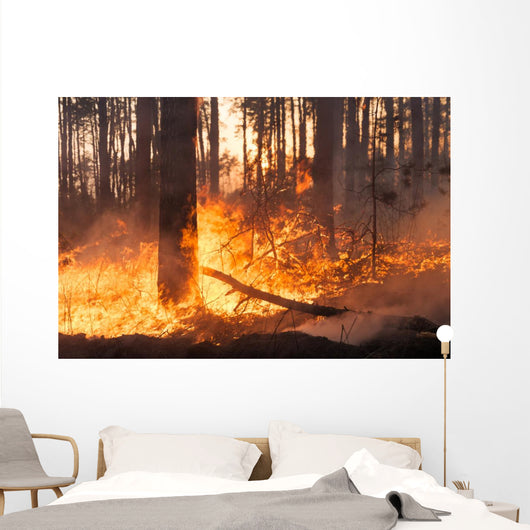 Big Forest Fire Pine Wall Decal