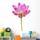 Lotus Wall Decal
