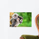 Squirrel Monkey Mother and Wall Decal