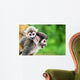 Squirrel Monkey Mother and Wall Decal