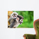 Squirrel Monkey Mother and Wall Decal