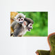 Squirrel Monkey Mother and Wall Decal