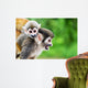 Squirrel Monkey Mother and Wall Decal