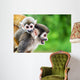 Squirrel Monkey Mother and Wall Decal