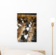 Orchestra Wall Decal