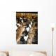 Orchestra Wall Decal