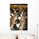 Orchestra Wall Decal