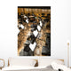 Orchestra Wall Decal