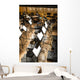 Orchestra Wall Decal