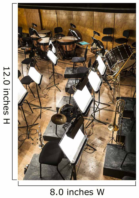 Orchestra Wall Decal